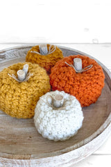 The Sugar Pumpkin (Crochet)