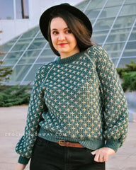 Scorpio Raglan (Crochet)