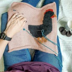 Chicken Butt Pillow (Knit)
