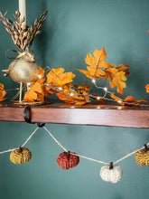 Crochet Mini Pumpkin Garland (Crochet)
