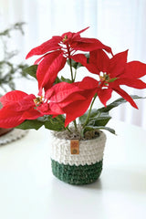 Chunky Planter Sweaters aka Plant Pot Covers (Crochet)