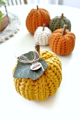 The Herringbone Pumpkin (Crochet)
