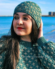 Scorpio Beanie (Crochet)