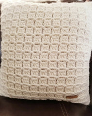 Parkhaven PIllow Pattern (Crochet)