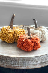 The Knobby Pumpkin (Crochet)