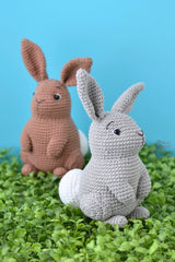 Spring Bunny (Crochet)