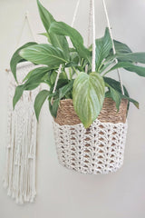 Iris Plant Hanger (Crochet)