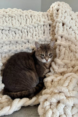 The Hampton Knit Throw (Knit)